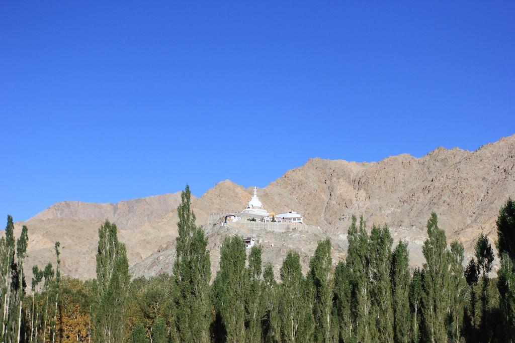 Hotel Nalanda Ladakh Leh Buitenkant foto