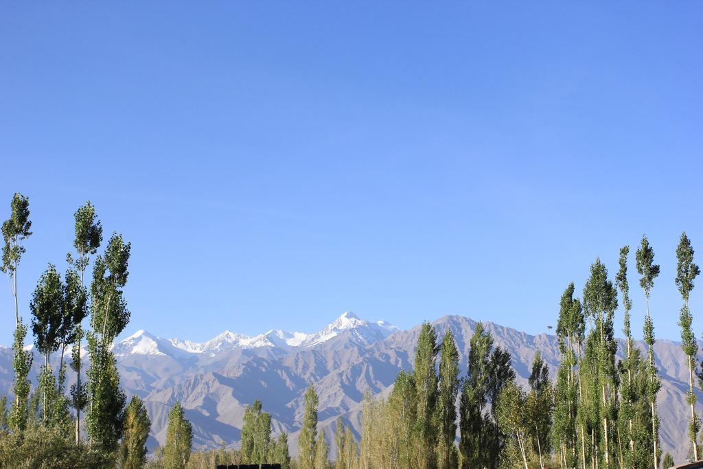 Hotel Nalanda Ladakh Leh Buitenkant foto